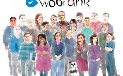 WooRank, una de las mejores herramientas para analizar nuestro sitio web