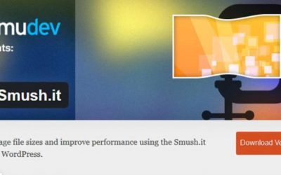 Reduce con Smush el peso de tus imágenes en WordPress