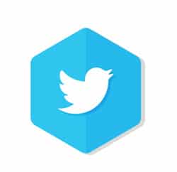 LogoTipo de Twitter que enlaza con la pagina de CMDGroup en esta red social