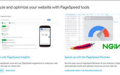 Analiza tu Velocidad Web gracias a Google PageSpeed